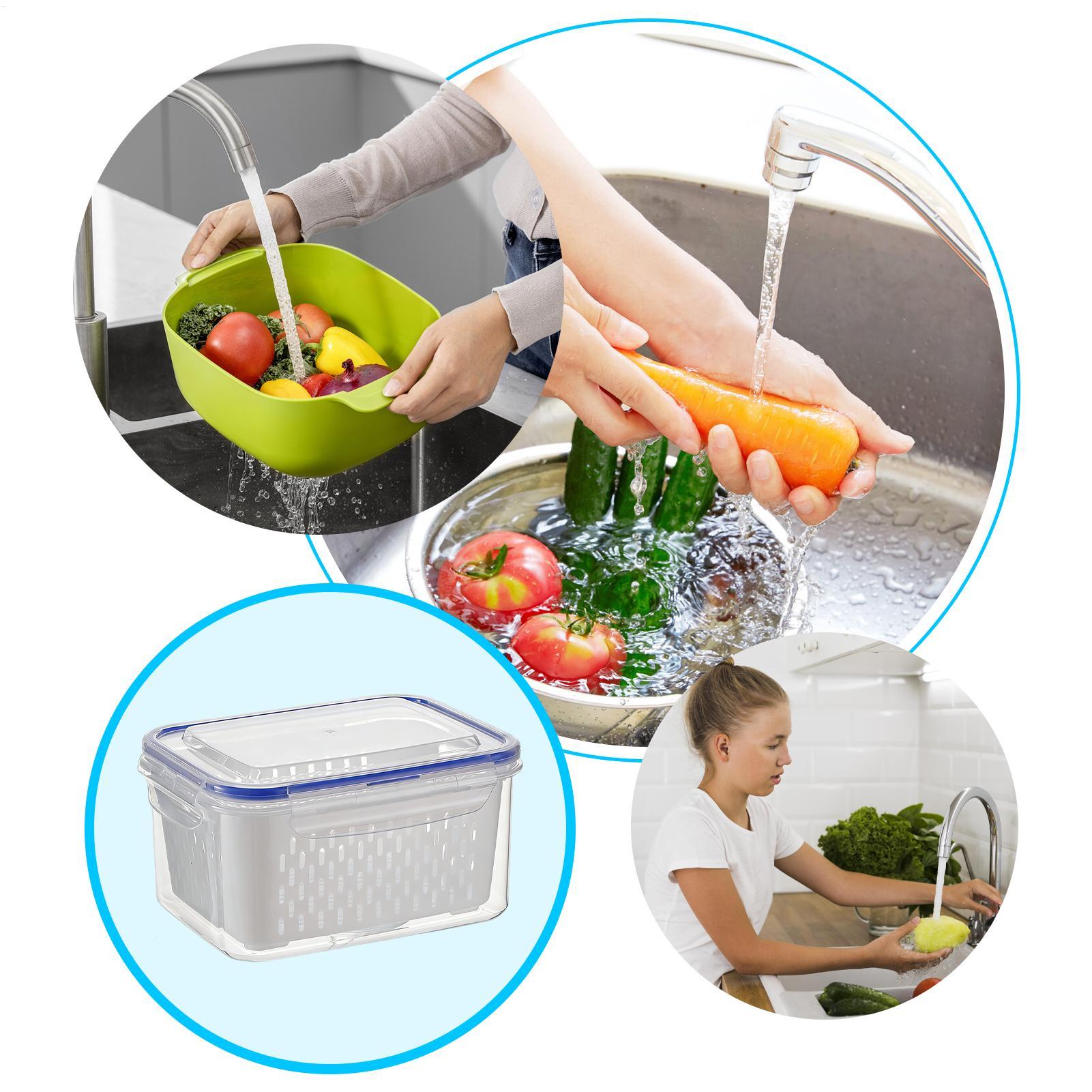 Contenedor de Almacenamiento d - Food Storage Containers reseña y precio
