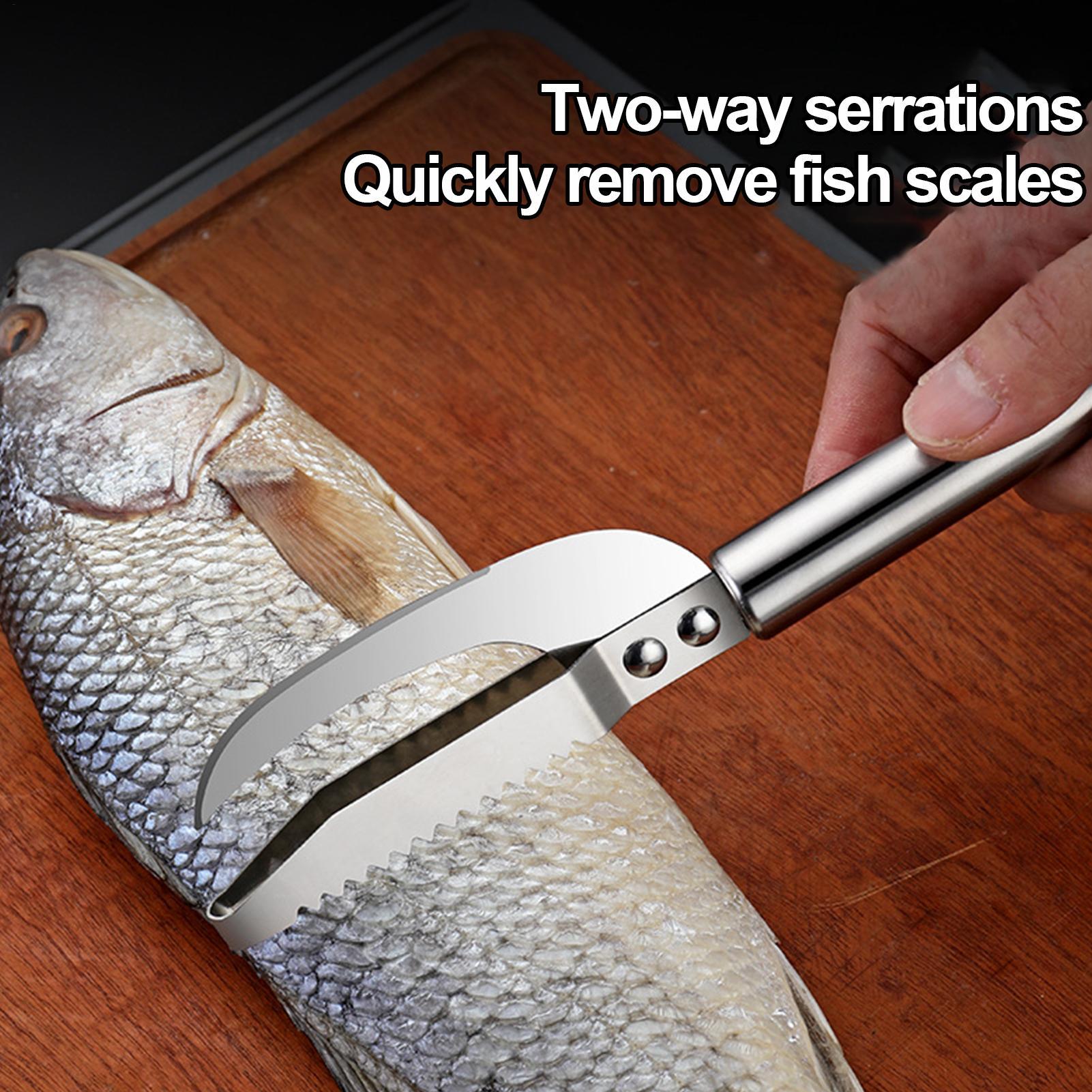 Cuchillo para quitar escamas d - Healthy Kitchen Gadgets reseña y precio